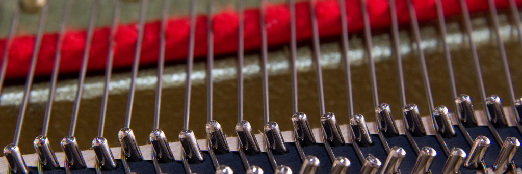 Duplex scaling strings