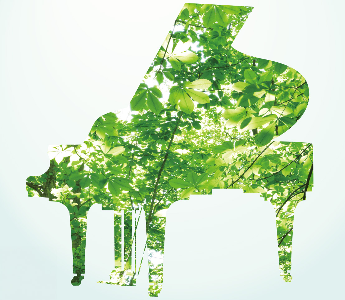 Kawai forest project