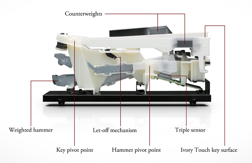 Kawai RHIII Hammer Action