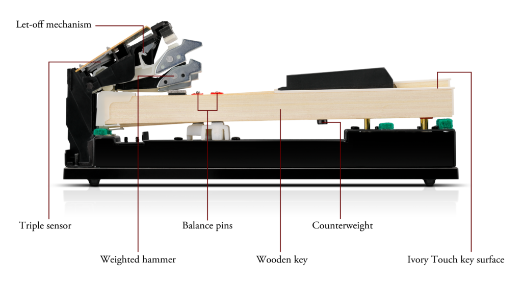 Kawai Grand Feel Compact wooden key action